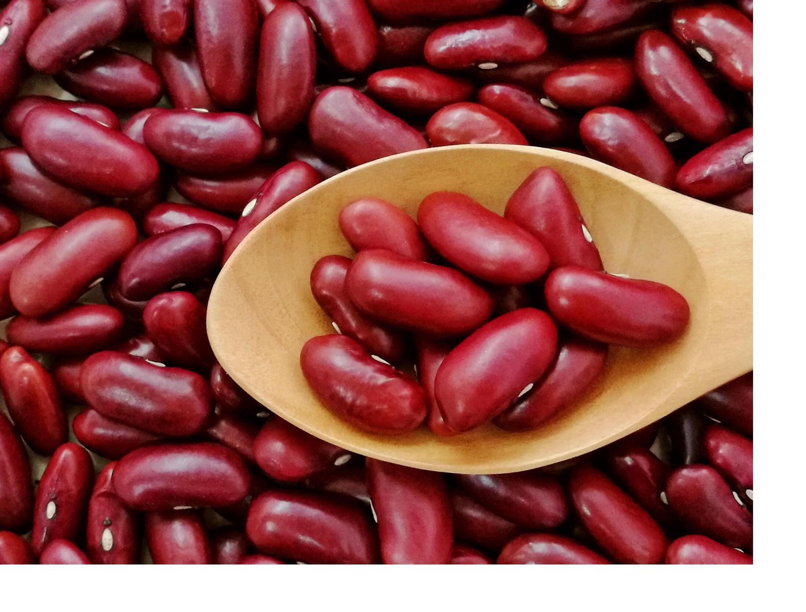 Kashmiri Rajma Dal